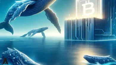 افزایش جریان‌های ورودی نهنگ‌های بیت‌کوین به صرافی‌ها| تحلیل تازه از تحقق سود و تأثیر آن بر بازار