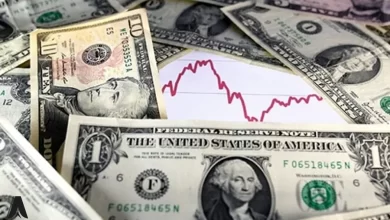 عوامل کلیدی افزایش ارزش دلار | تأثیر دلار بر اقتصاد جهانی